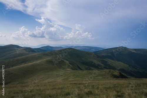 beautiful carpathian mountains  road  hills  forest  ukrainene