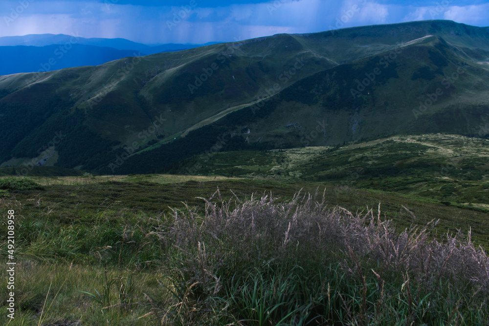 Obraz premium beautiful carpathian mountains, road, hills, forest, ukrainene
