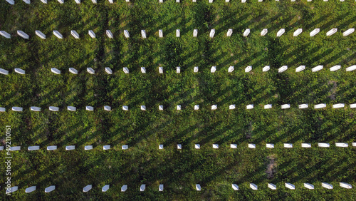 Aerial drone view of gravestones in Memorial centre Potocari, Srebrenica. Cemetery for the victims of the 1995 genocide. Graves. Genocide Cemetery. 