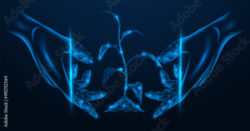Planting a young plant in the soil. Hands protect the sprout of the tree. Low-poly design of lines and dots. Blue background.