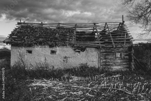 opuszczona stodoła na wsi na suwalszczyznie  photo