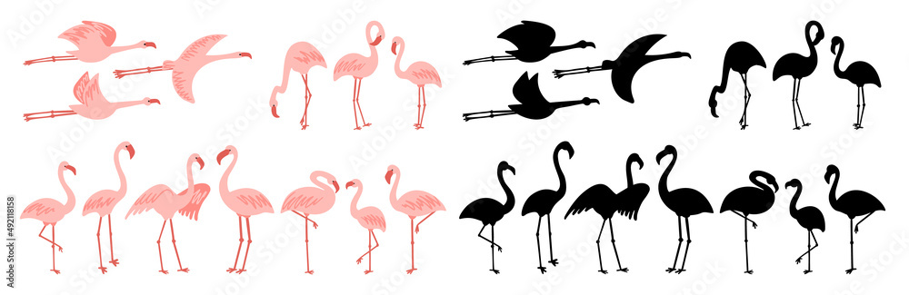 Obraz premium Flamingo standing and flying cute pale pink and black clipart