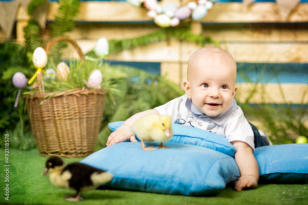 Cute little baby playing with little chicks, little chicks in baby hands Cute little baby playing with little chicks, little chicks in baby hands