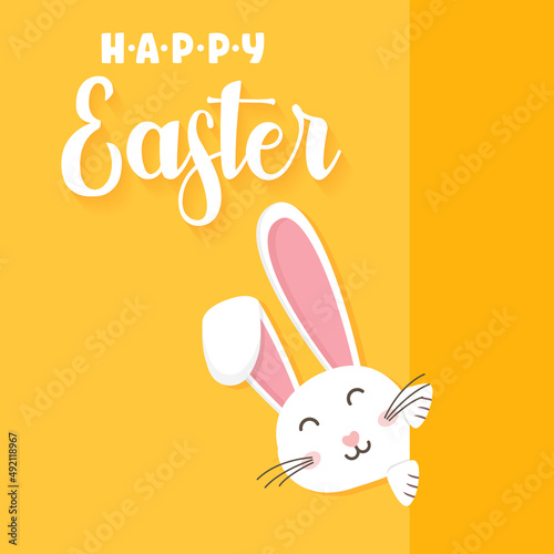 Easter rabbit  easter Bunny. Vector illustration.