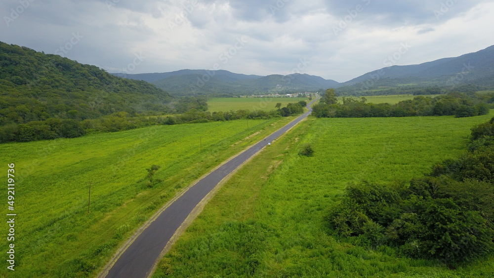 beautiful mountain road in green landscape in northwest Argentina