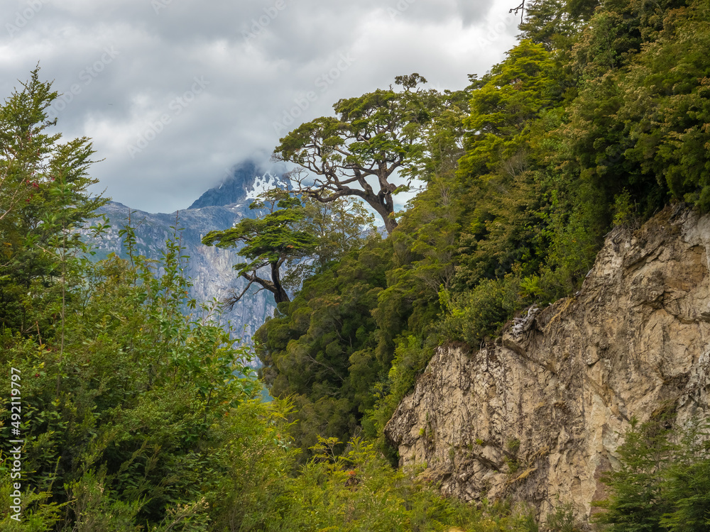 The mythical carretera Austral (Southern Way), Chile's Route 7 near Puerto Río Tranquilo, Patagonia, Chile. It runs  through forests, fjords, glaciers, canals and steep mountains in rural Patagonia