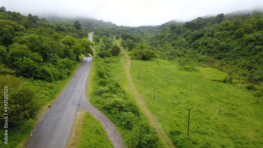 beautiful mountain road in green landscape in northwest Argentina beautiful mountain road in green landscape in northwest Argentina