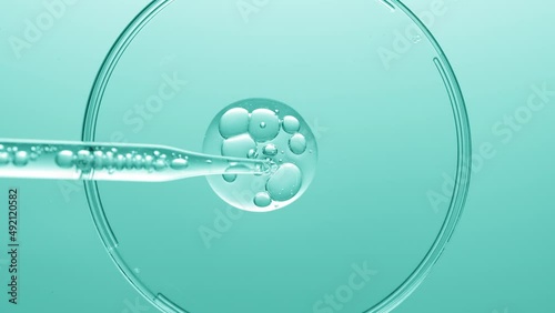 Close up view macro shot of gel with different sized bubbles comes out from lab dropper into petri dish on cyan background | Abstract face care gel with hyaluronic acid mixing concept