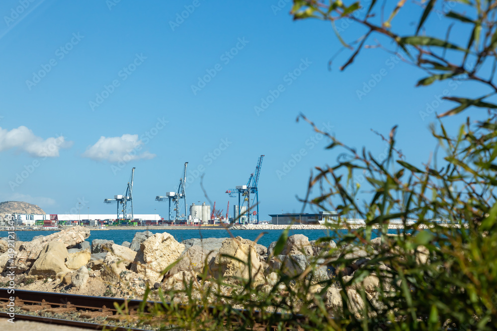 The seashore through the bushes, a commercial port and port cranes on the horizon. Summer Mediterranean Sea The seashore through the bushes, a commercial port and port cranes on the horizon. Summer Mediterranean Sea