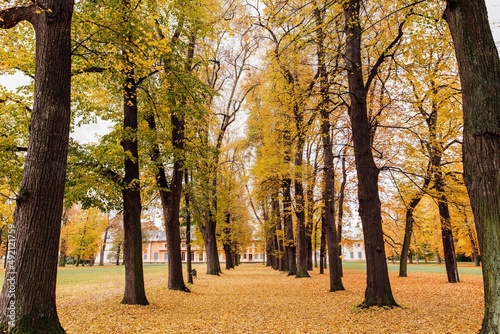 Palastgarten photo