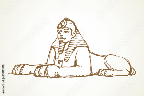 Egyptian sphinx. Vector pen drawing