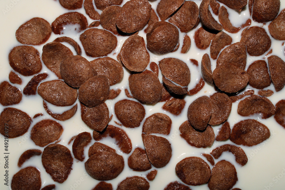 Ready to eat choco flakes with milk. Ready to eat choco flakes with milk.