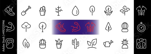 A set of Rosteniya Icons, and garden care, Vector illustration, Contains Icons such as tree, cactus, watering can, spade, flower and much more. on a white background, editable bar 480x480