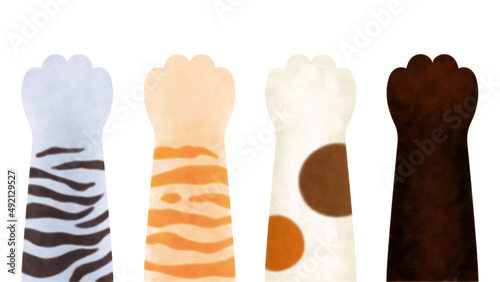 質感のある猫の手