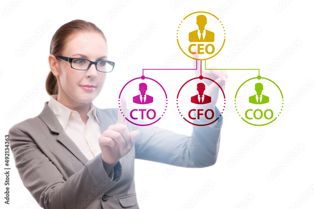 Businesswoman in the organisation chart concept Businesswoman in the organisation chart concept