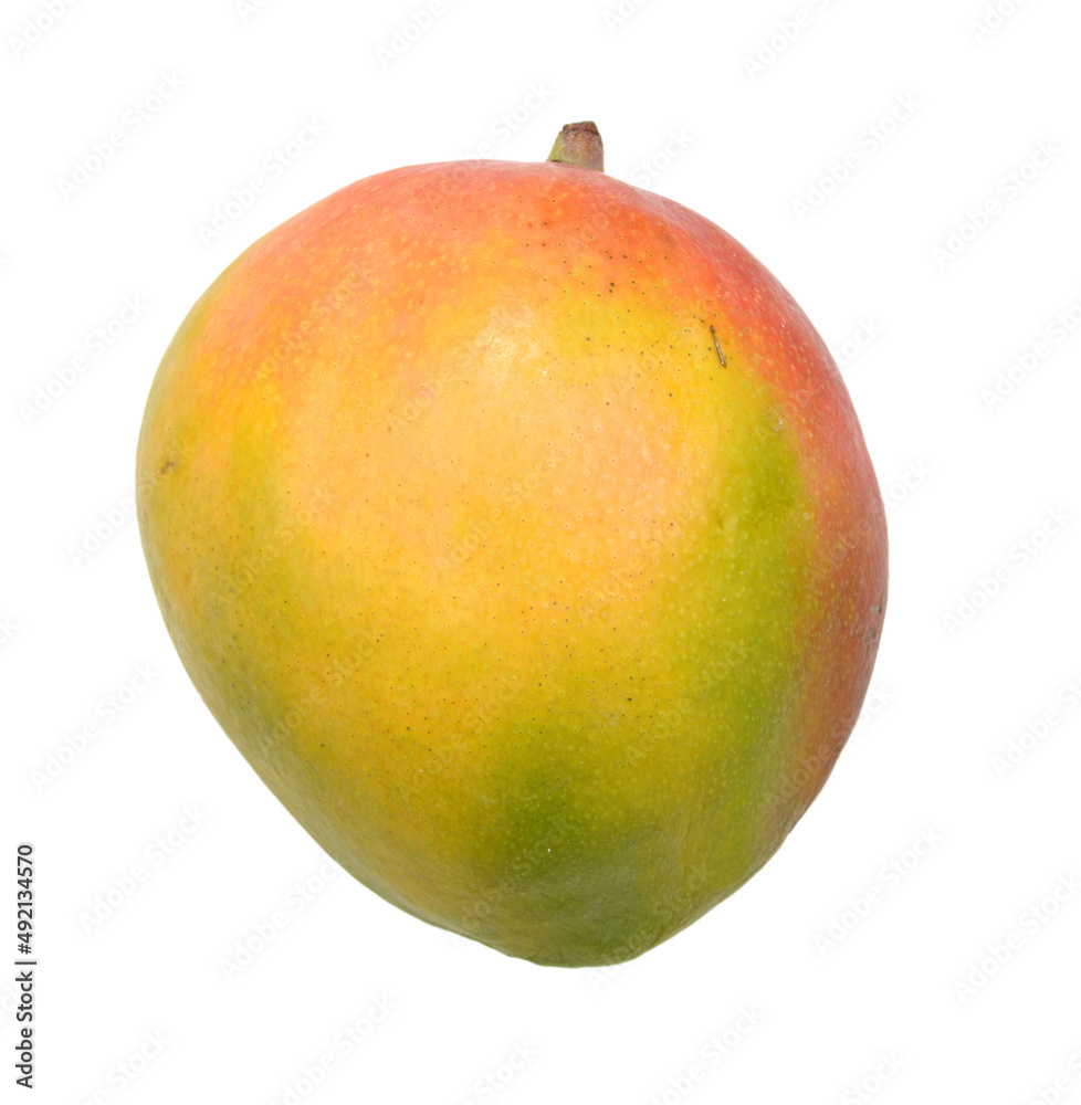 Mango fruit isolated on white background Mango fruit isolated on white background