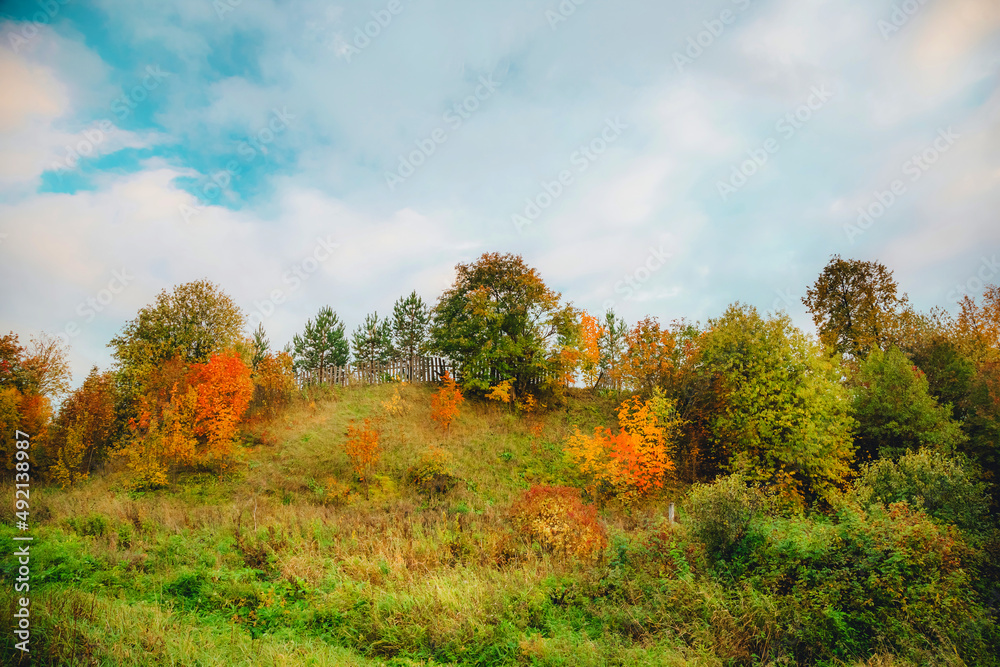 Fototapeta premium golden autumn with bright colors pleases the eye
