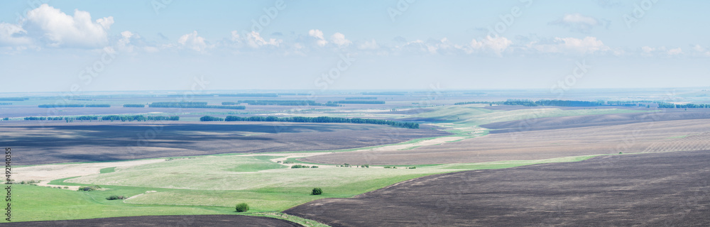 Agricultural fields, panoramic spring view, countryside