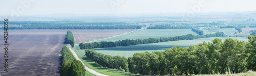 Agricultural fields  panoramic spring view  countryside  the road goes into the distance