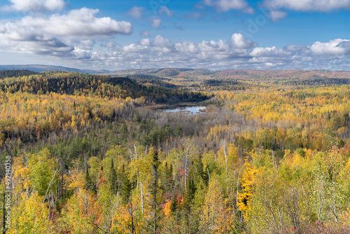 View of autumn colors in the Superior National Forest