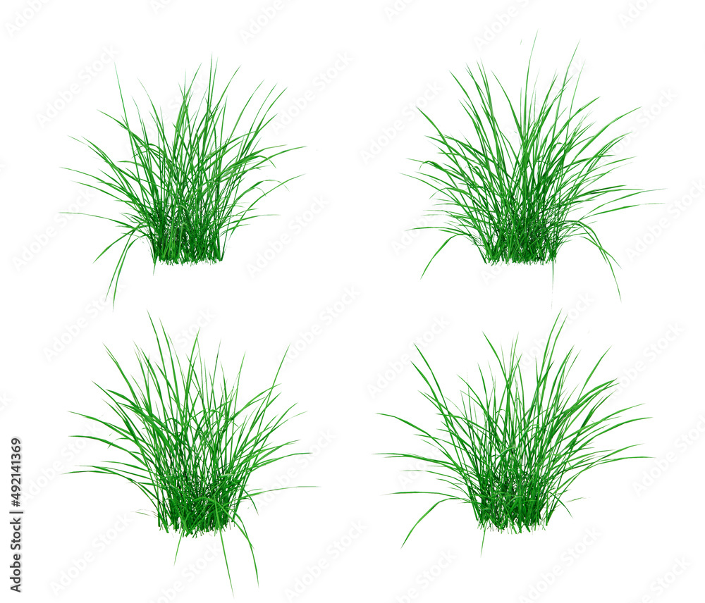 Isometric shrub plant 3d rendering Stock Photo | Adobe Stock