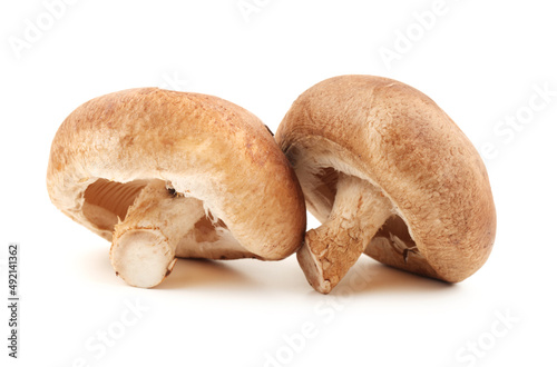 Shiitake mushroom on the White background 