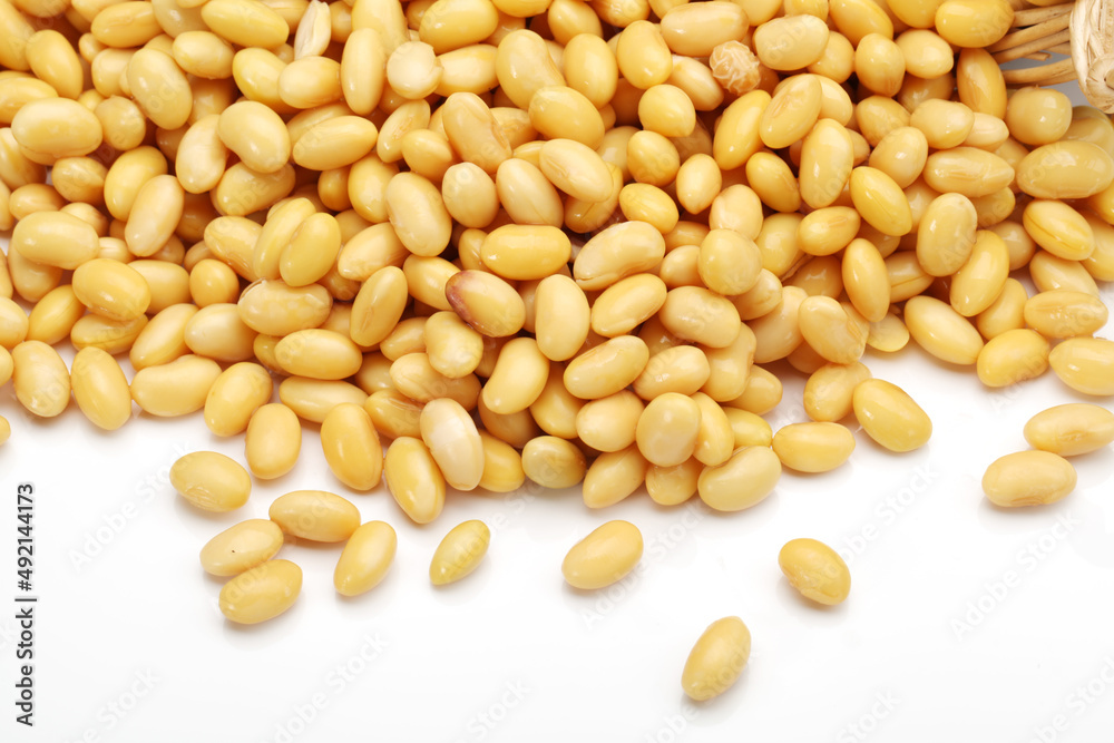 soybean isolated on white background soybean isolated on white background
