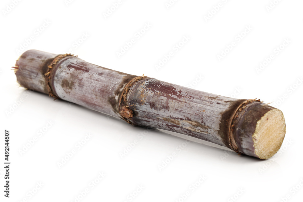 Sugar cane isolated on white background Sugar cane isolated on white background