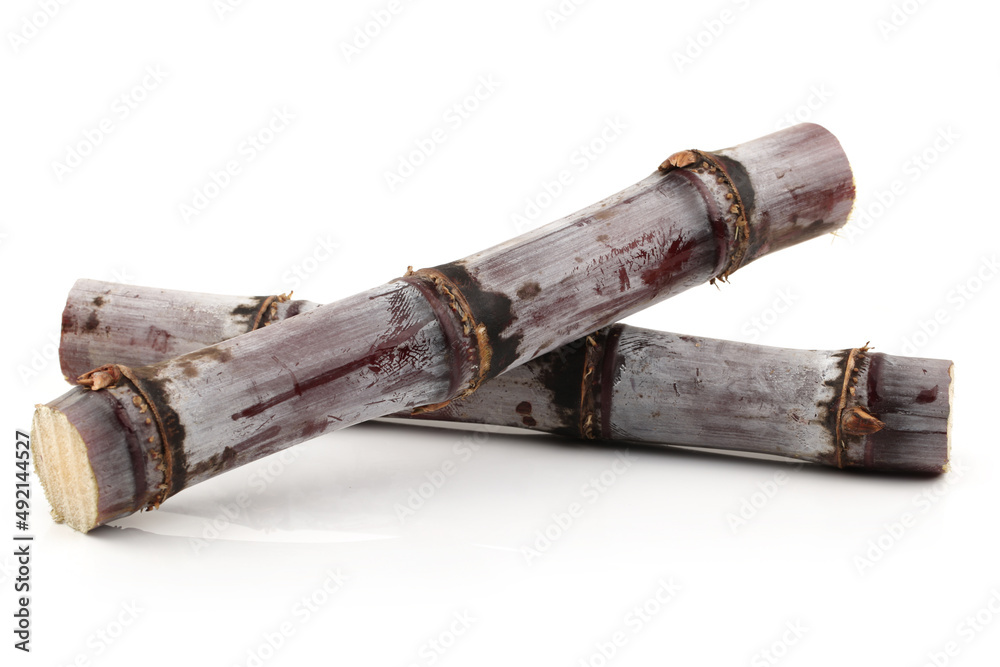 Sugar cane isolated on white background