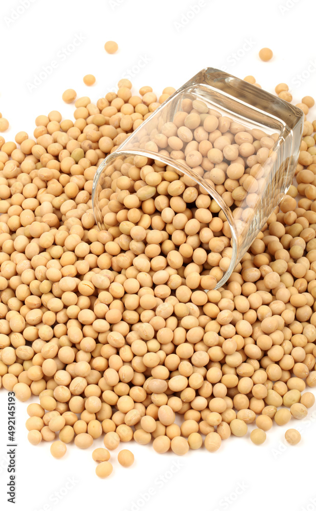 Fototapeta premium gold soybean