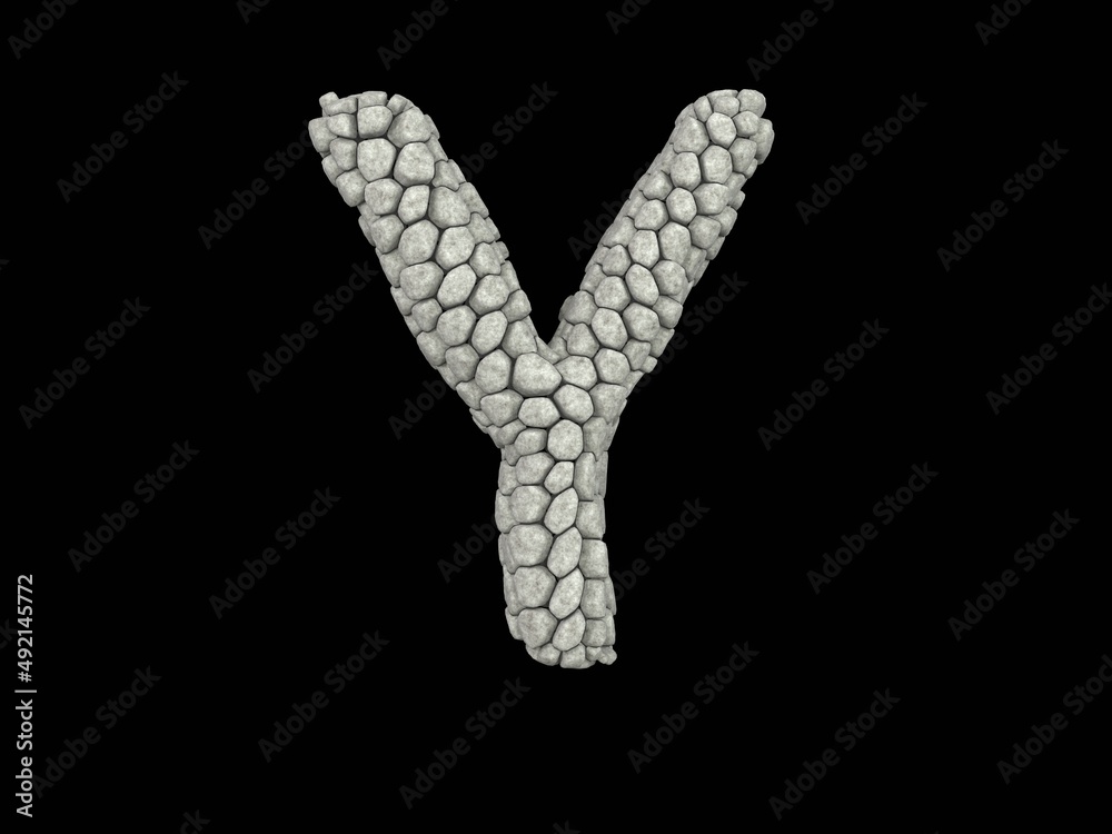 Stone Themed Font Letter Y Stone Themed Font Letter Y