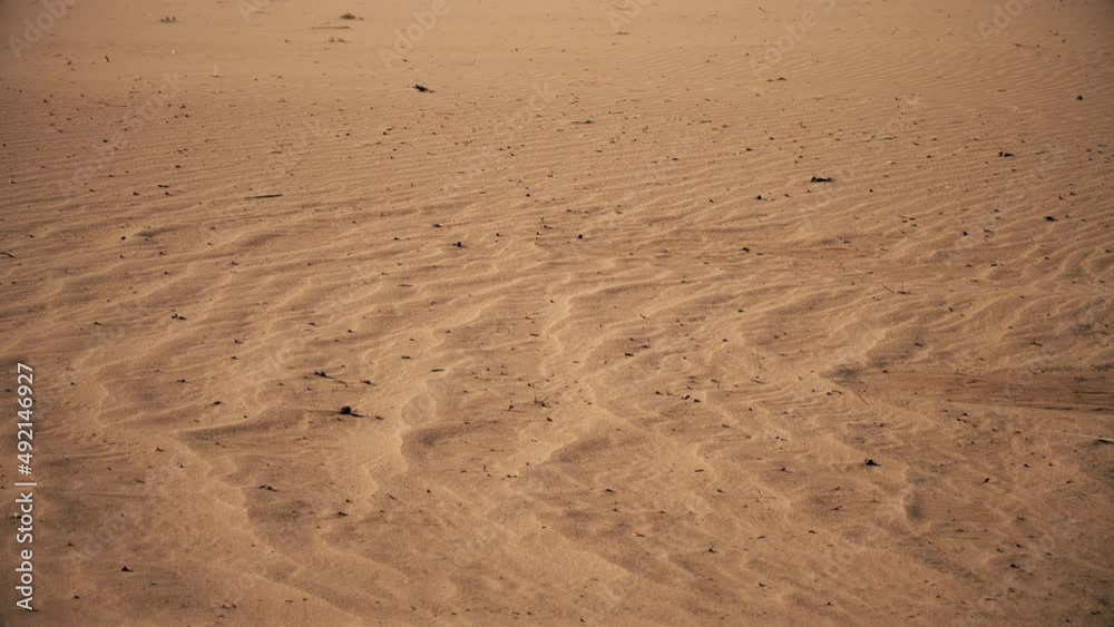 Sand Desert Wind Blowing Across Barren Landscape Sand Desert Wind Blowing Across Barren Landscape