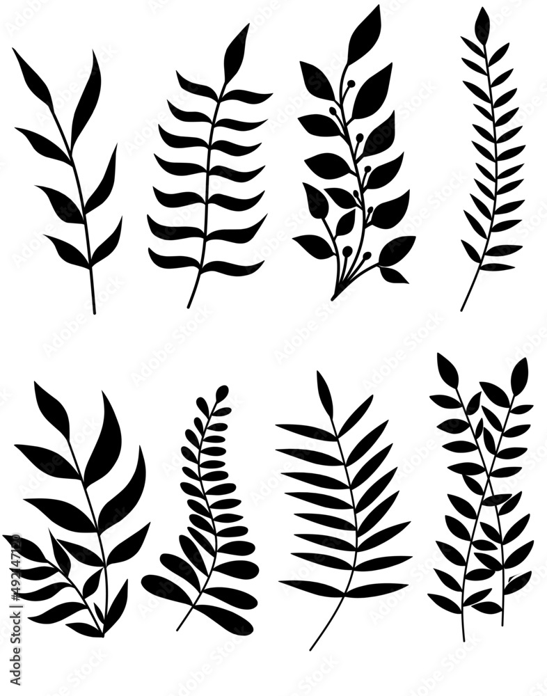 Fototapeta premium Floral Line Art Collection – Hand Drawn Botanical Elements