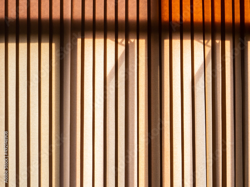 Light Brown Vertical Curtain with Windows Shadow