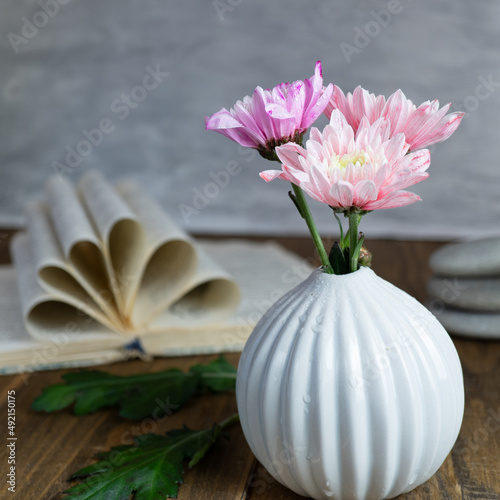 Pink chrysanthemums in a white vase. Still life with flowers.