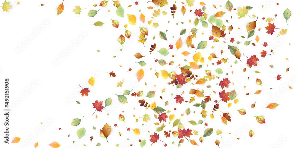 Leaves Falling Autumn Foliage Chaotic Leaf Flying