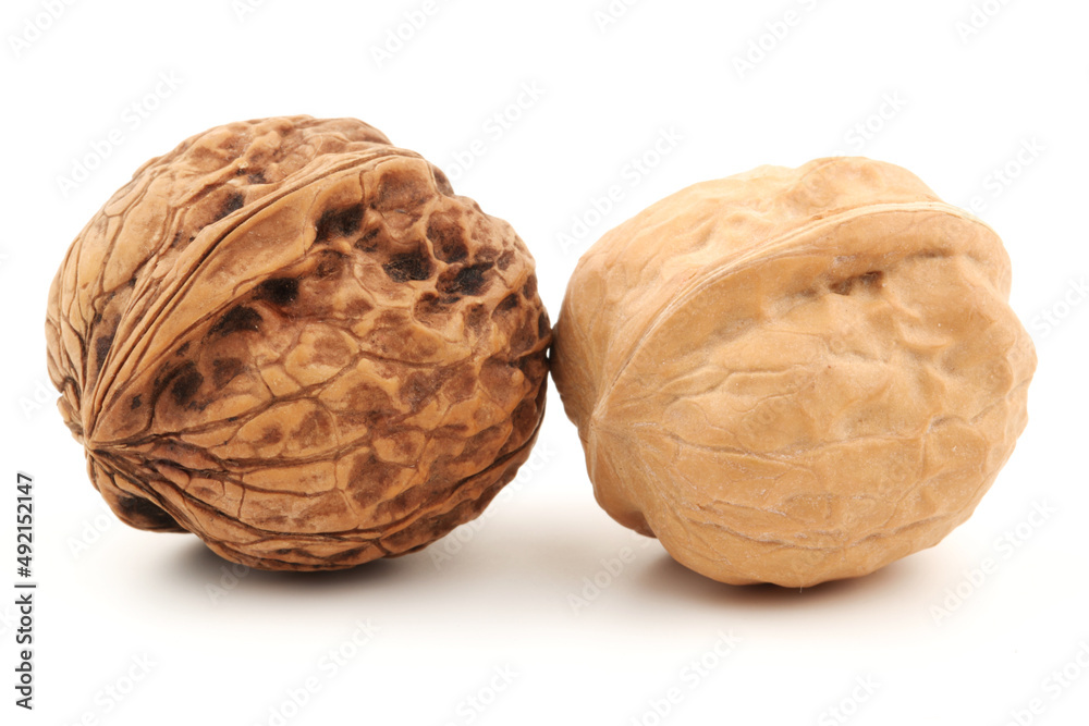 walnut isolated on white background walnut isolated on white background