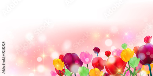 チューリップ　花　春　背景