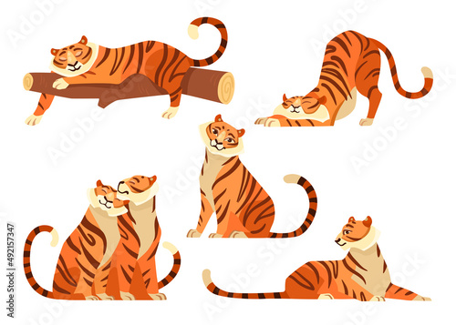 Cute tigers in different poses cartoon illustration set. African tiger and tigress sitting together. Wildcats stretching, sleeping on tree branch. Wildlife, jungle concept