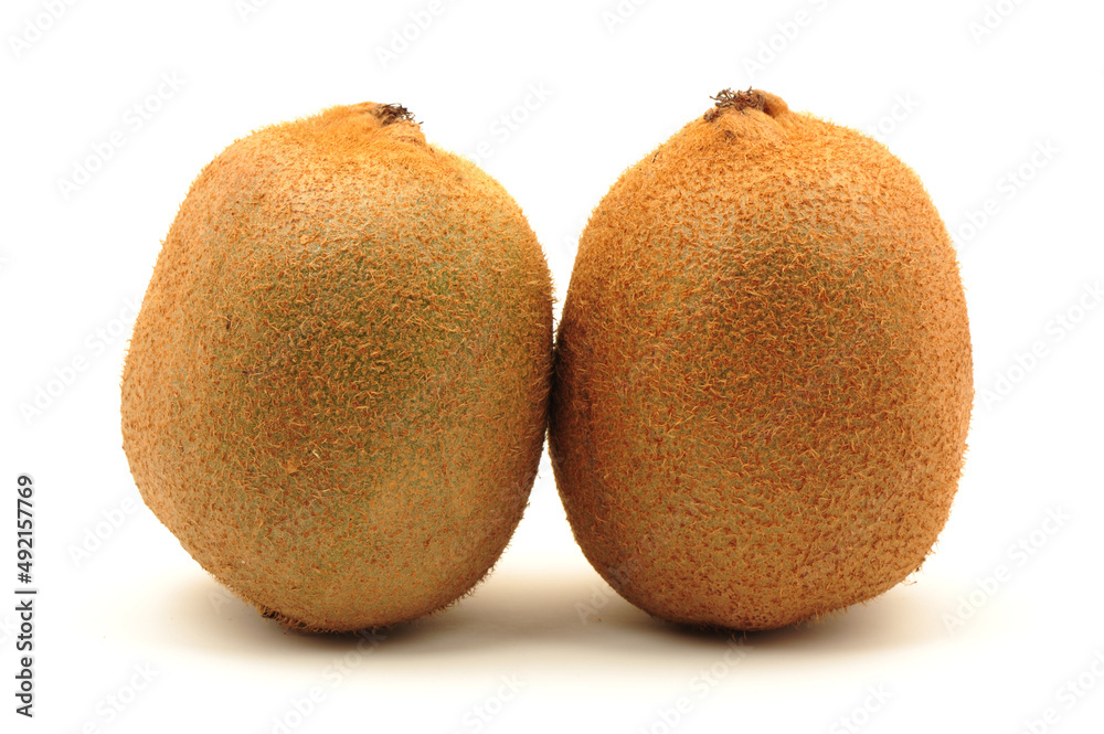 kiwi fruit on white background 