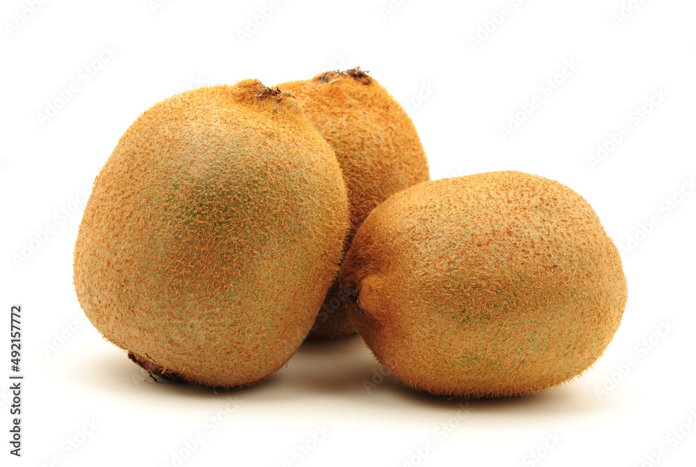 kiwi fruit on white background kiwi fruit on white background