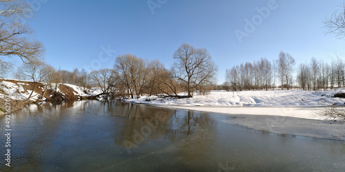 Spring walk through the forest, beautiful panorama.