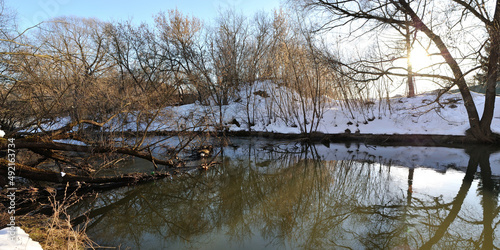 Wallpaper Mural Spring walk through the forest, beautiful panorama. Torontodigital.ca