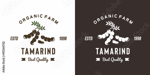 vintage tamarind fruit logo illustration suitable for fruit shop and fruit farm