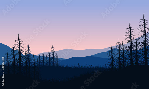 Fantastic mountain view with dry fir tree silhouettes from outside the city