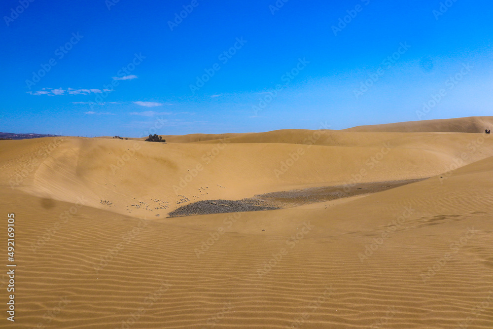 sand dunes in the desert, Maspalomas sand dunes in the desert, Maspalomas