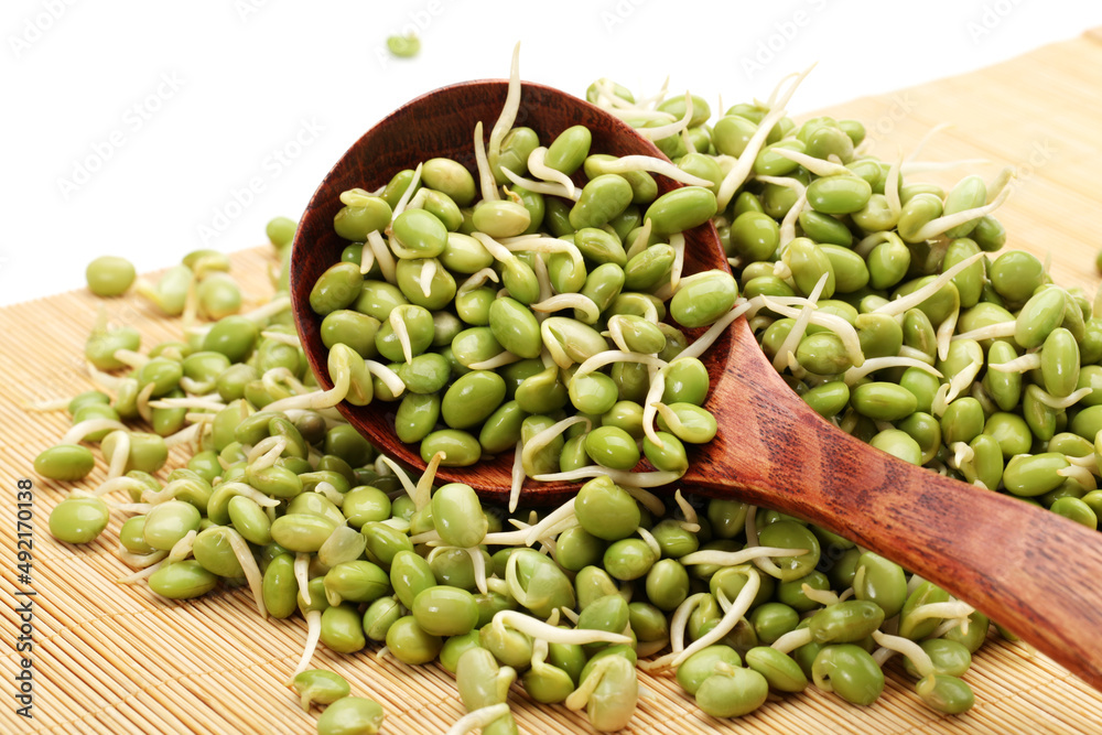 green soybean sprouts on white background green soybean sprouts on white background