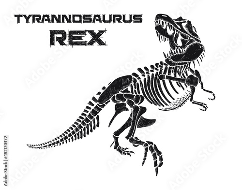 Tyrannosaurus rex skeleton hand drawn vector illustration on white background 