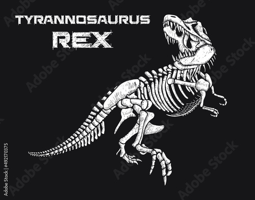 Tyrannosaurus rex skeleton hand drawn vector illustration on black background