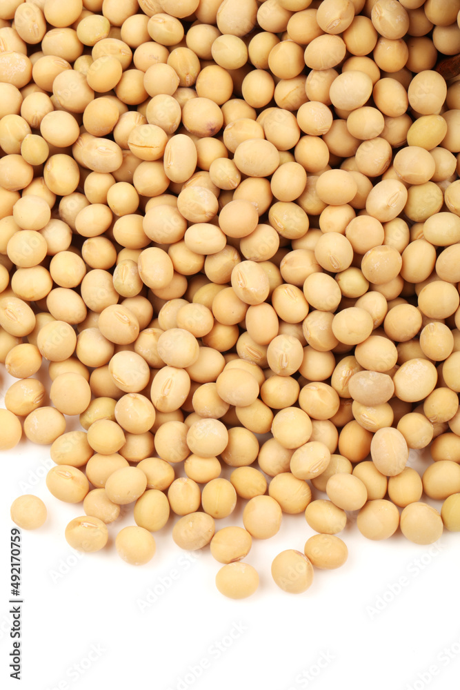 gold soybean isolated on white background gold soybean isolated on white background